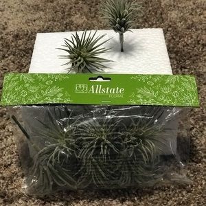 Faux air plant